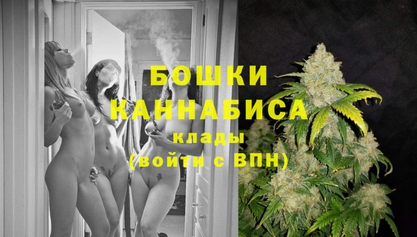 тгк Аркадак